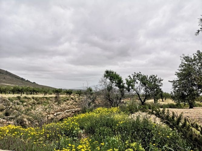 3 bedroom Villa for sale in Fuente Alamo de Murcia with garage - € 170,000 (Ref: 7274299)