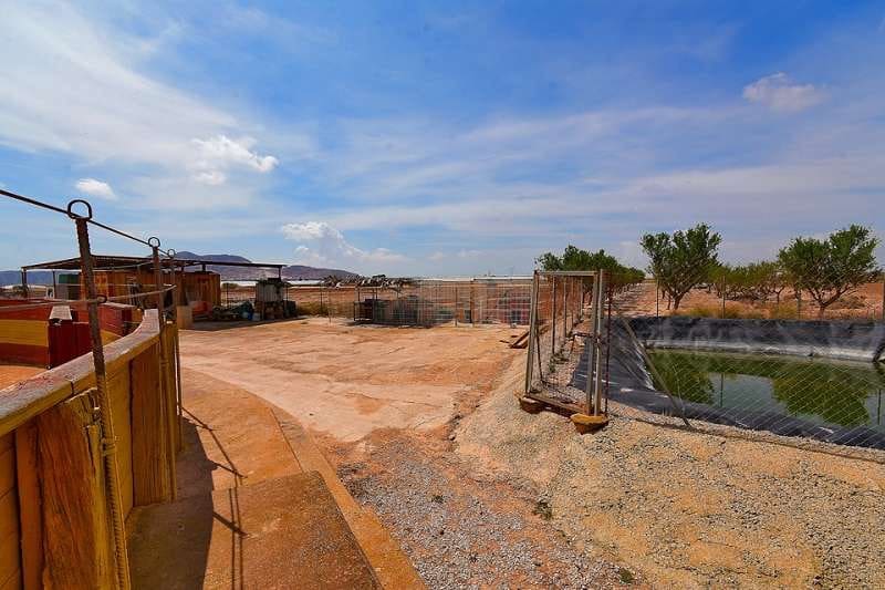 2 soveværelse Villa til salg i Balsicas med swimmingpool garage - € 320.000 (Ref: 8433394)