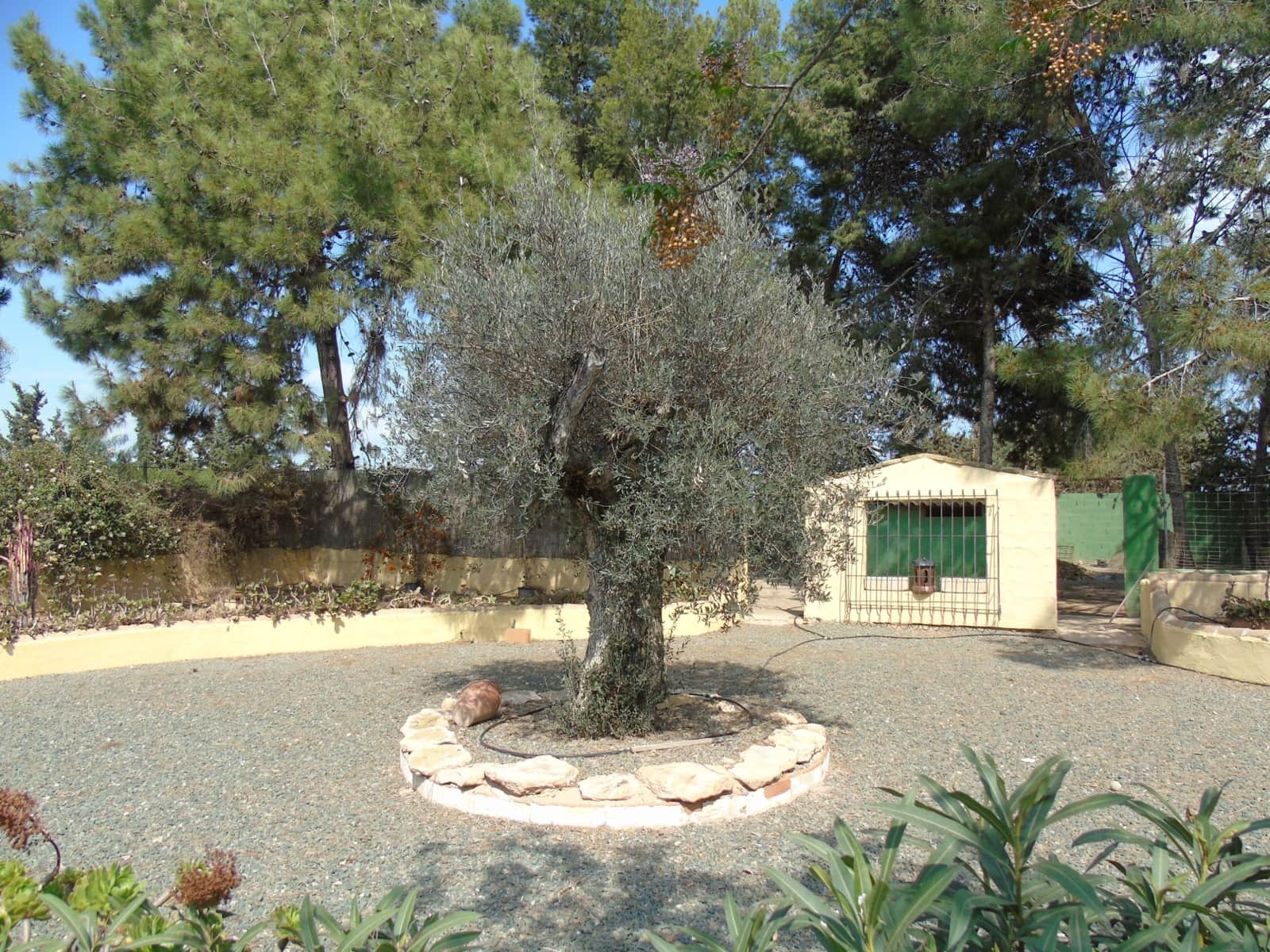 4 soverom Villa til salgs i Pozo Estrecho med garasje - € 425 000 (Ref: 8580966)