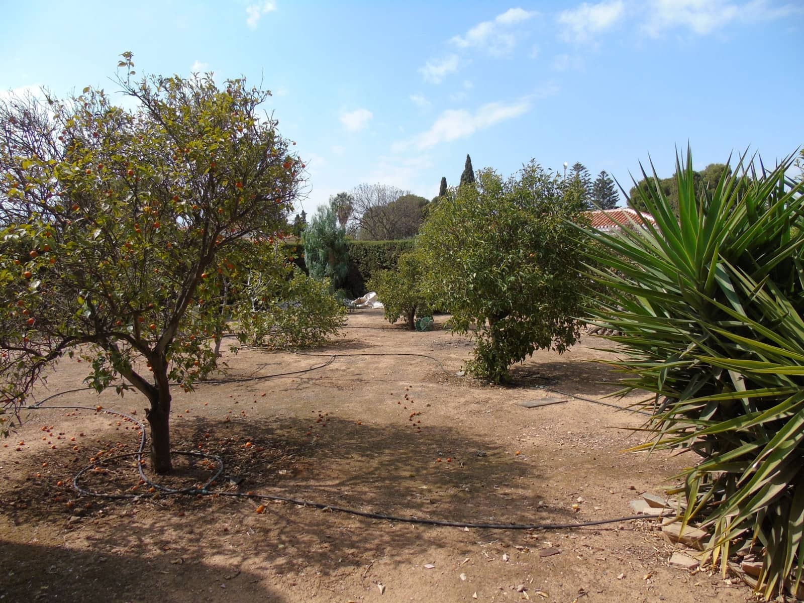 4 soverom Villa til salgs i Pozo Estrecho med garasje - € 425 000 (Ref: 8580966)