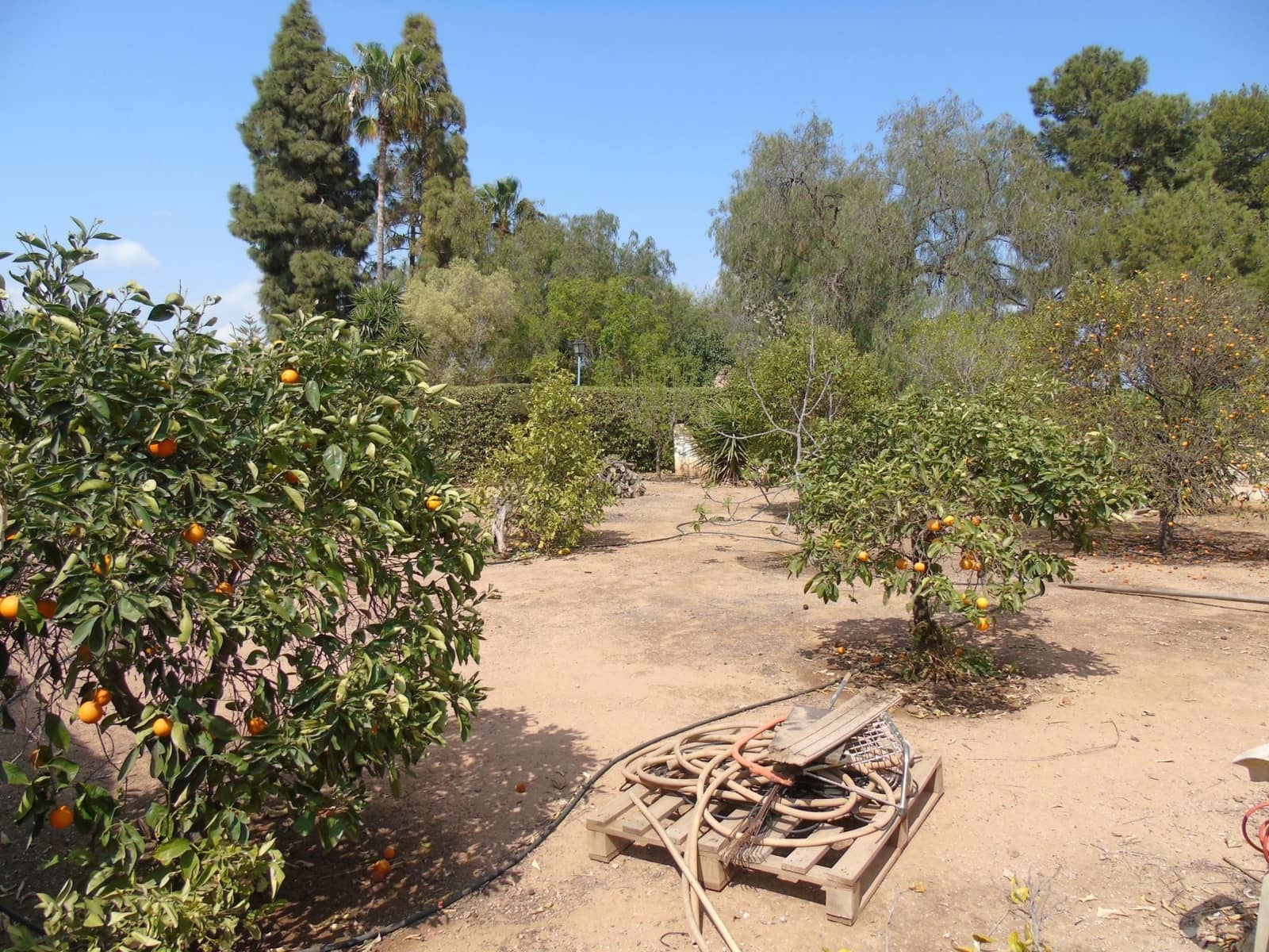 4 soverom Villa til salgs i Pozo Estrecho med garasje - € 425 000 (Ref: 8580966)