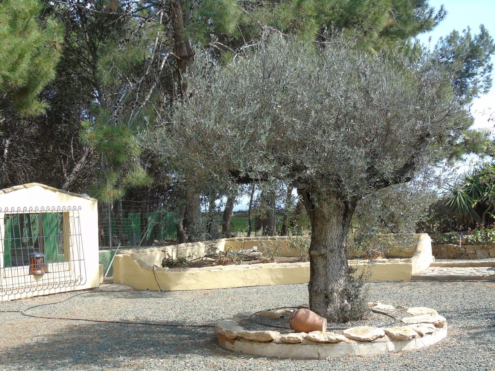 4 soverom Villa til salgs i Pozo Estrecho med garasje - € 425 000 (Ref: 8580966)