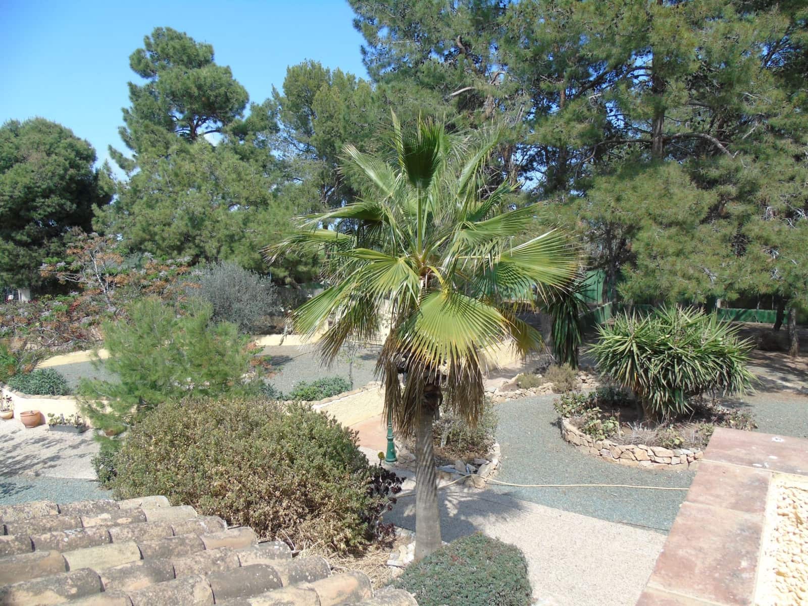 4 soverom Villa til salgs i Pozo Estrecho med garasje - € 425 000 (Ref: 8580966)