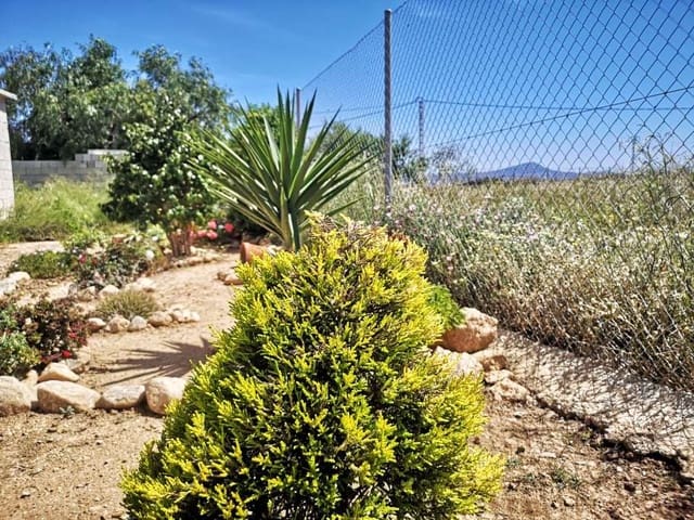 Terreno Não Urbanizado para venda em Fuente Alamo de Murcia - 89 500 € (Ref: 9154397)