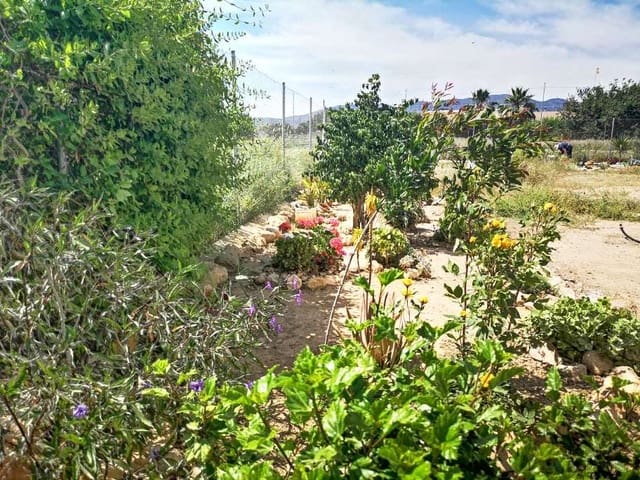 Ubebygd land til salgs i Fuente Alamo de Murcia - € 89 500 (Ref: 9154397)