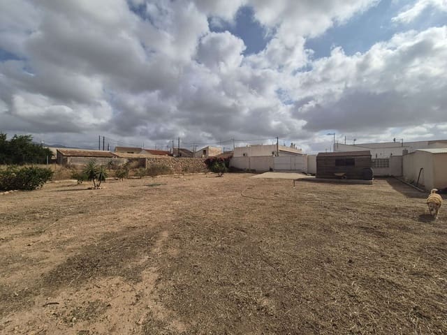 Terreno Não Urbanizado para venda em Fuente Alamo de Murcia - 89 500 € (Ref: 9154397)