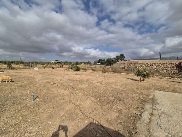 Terreno Não Urbanizado para venda em Fuente Alamo de Murcia - 89 500 € (Ref: 9154397)