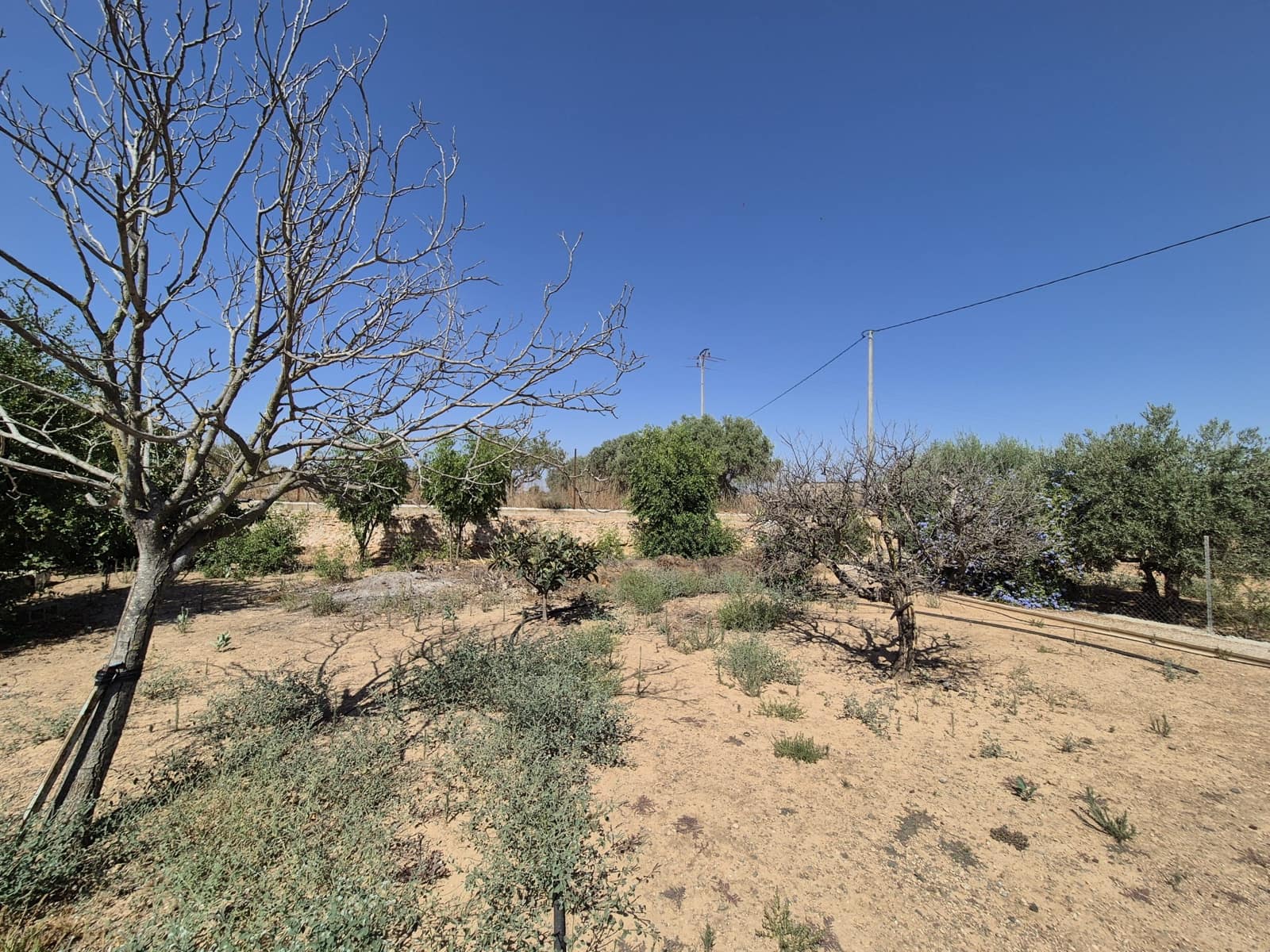 4 bedroom Villa for sale in La Pinilla with pool garage - € 250,000 (Ref: 9175074)