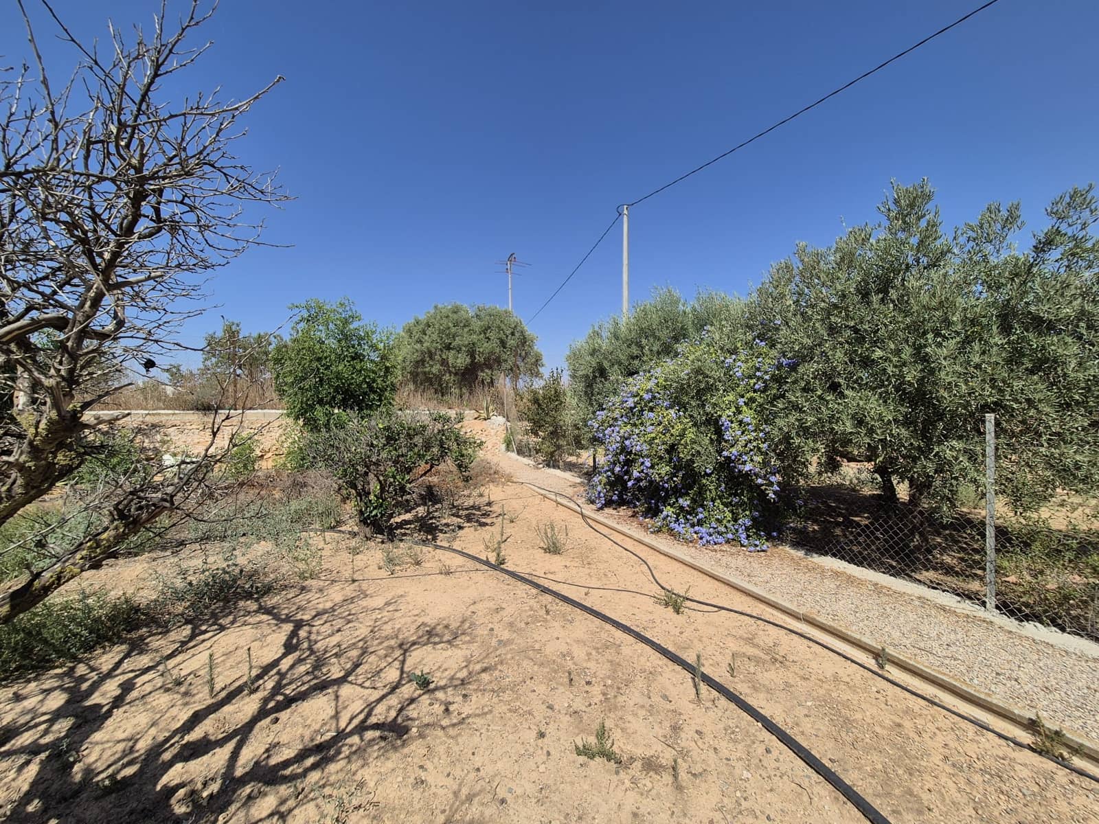 4 bedroom Villa for sale in La Pinilla with pool garage - € 250,000 (Ref: 9175074)