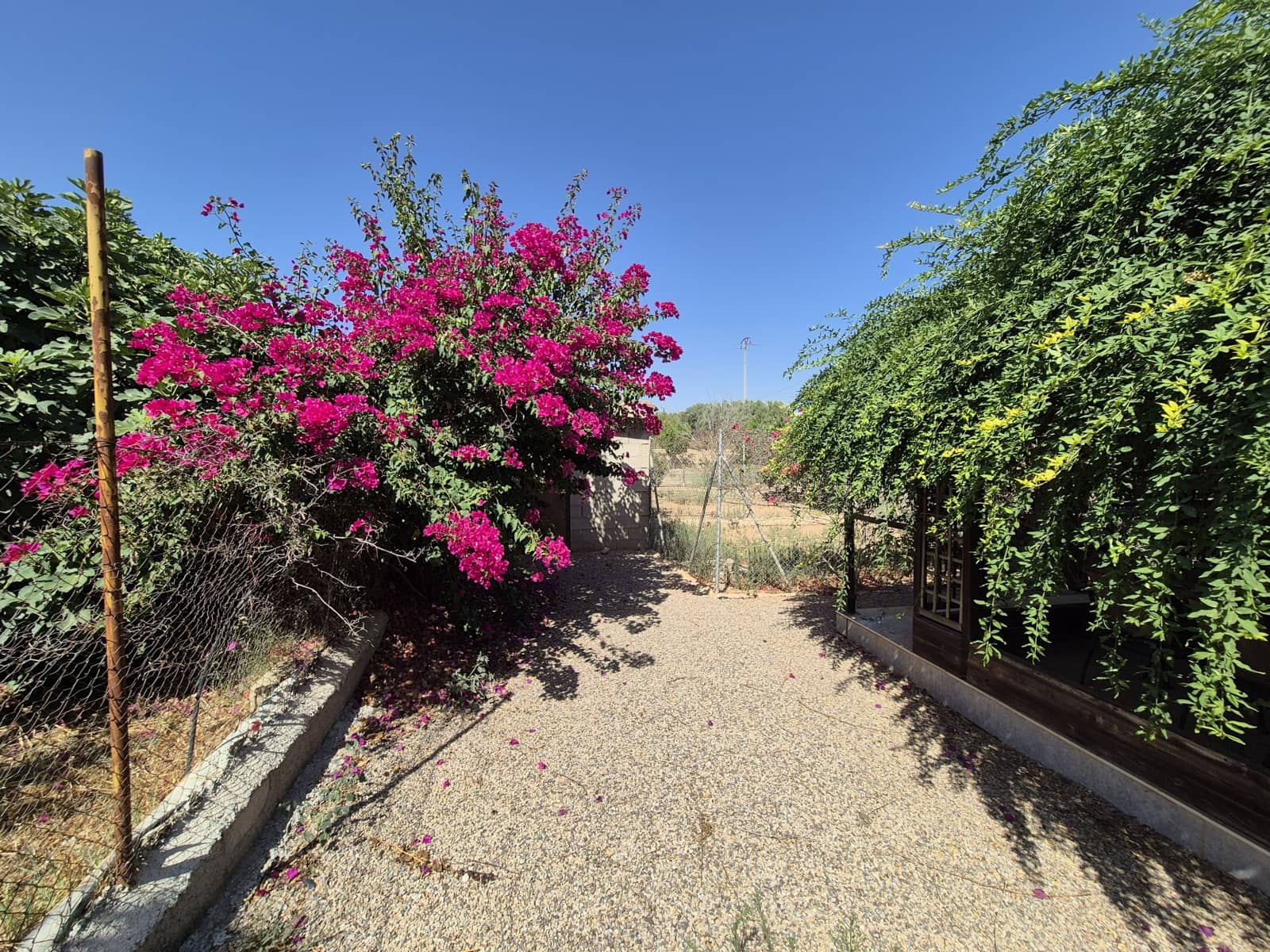 4 bedroom Villa for sale in La Pinilla with pool garage - € 250,000 (Ref: 9175074)