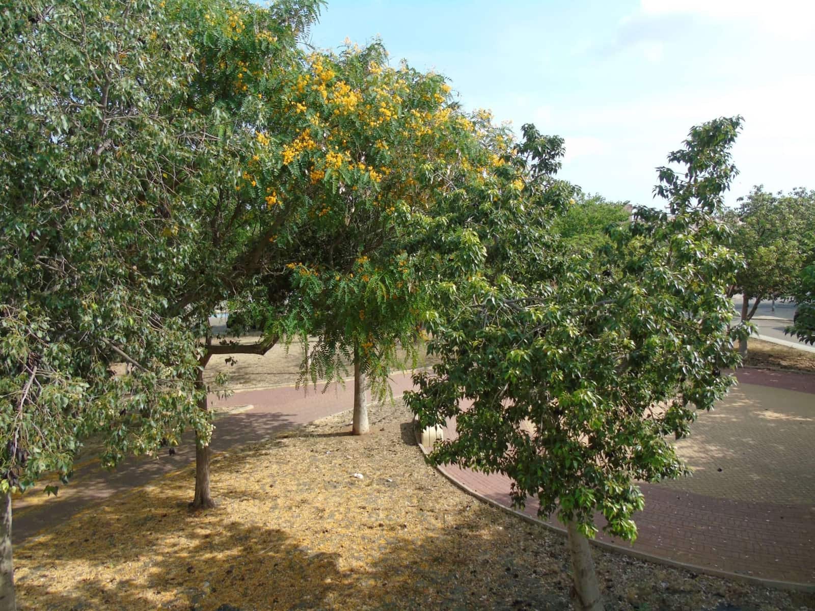 2 soverom Villa til salgs i El Algar med svømmebasseng - € 130 000 (Ref: 9275370)