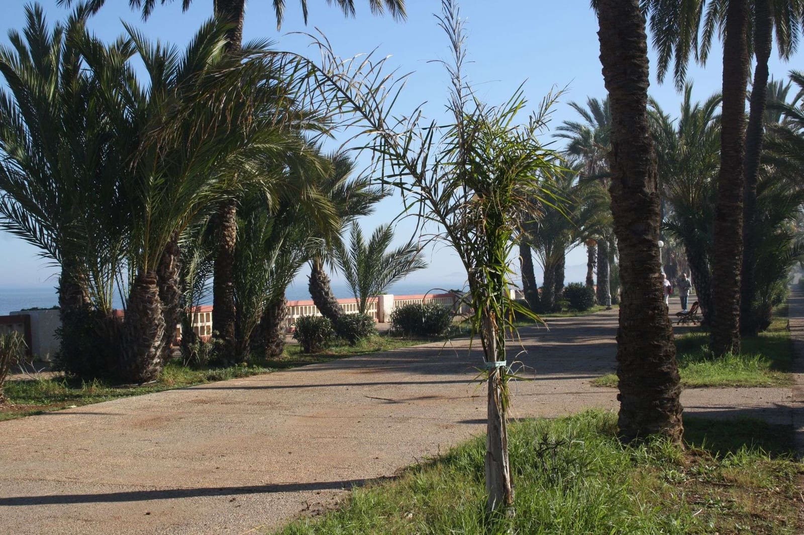 3 slaapkamer Villa te koop in Los Urrutias met zwembad garage - € 179.000 (Ref: 9279880)