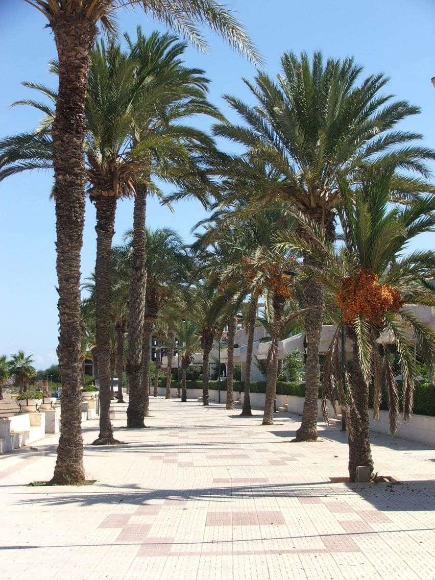 1 sovrum Lägenhet till salu i La Manga del Mar Menor med garage - 129 000 € (Ref: 9533002)