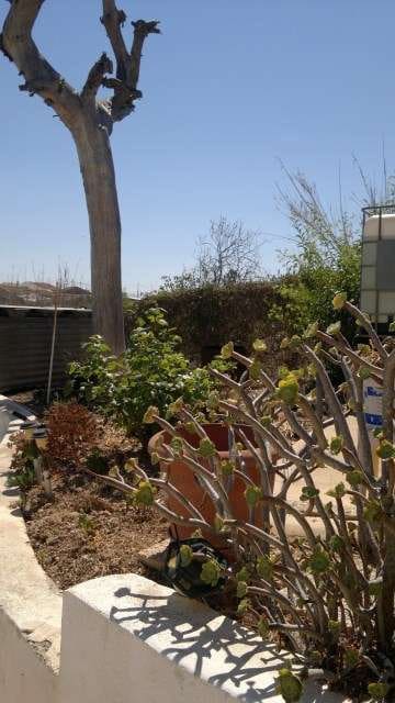 3 sypialnia Willa na sprzedaż w Kartagena z basenem garażem - 119 950 € (Ref: 9537363)