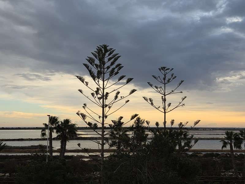 3 chambre Villa/Maison à vendre à Lo Pagan - 198 000 € (Ref: 9714338)