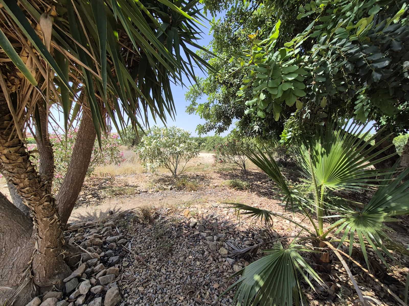 3 camera da letto Villa in vendita in Los Almagros con garage - 79.500 € (Rif: 9829667)
