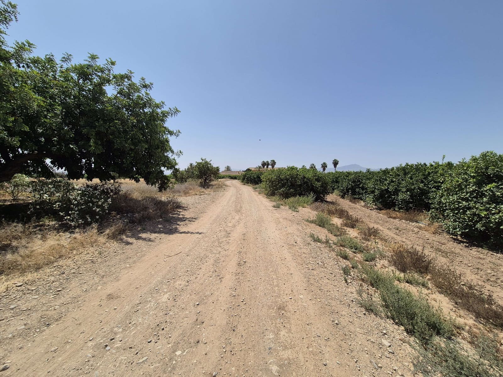 3 camera da letto Villa in vendita in Los Almagros con garage - 79.500 € (Rif: 9829667)