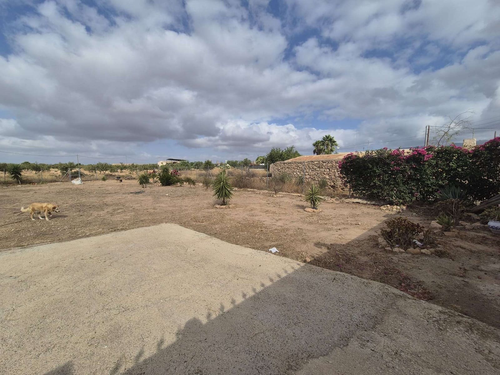 Undeveloped Land for sale in Fuente Alamo de Murcia - € 89,500 (Ref: 9829674)