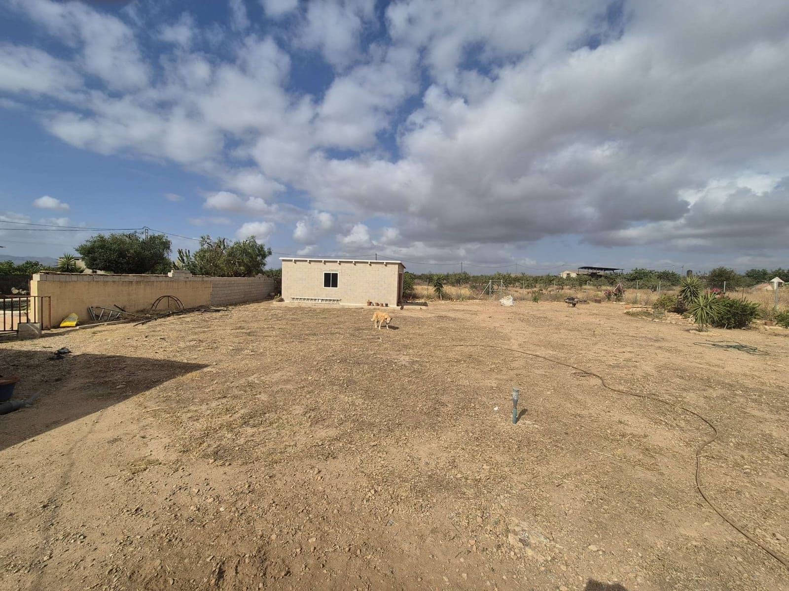 Undeveloped Land for sale in Fuente Alamo de Murcia - € 89,500 (Ref: 9829674)