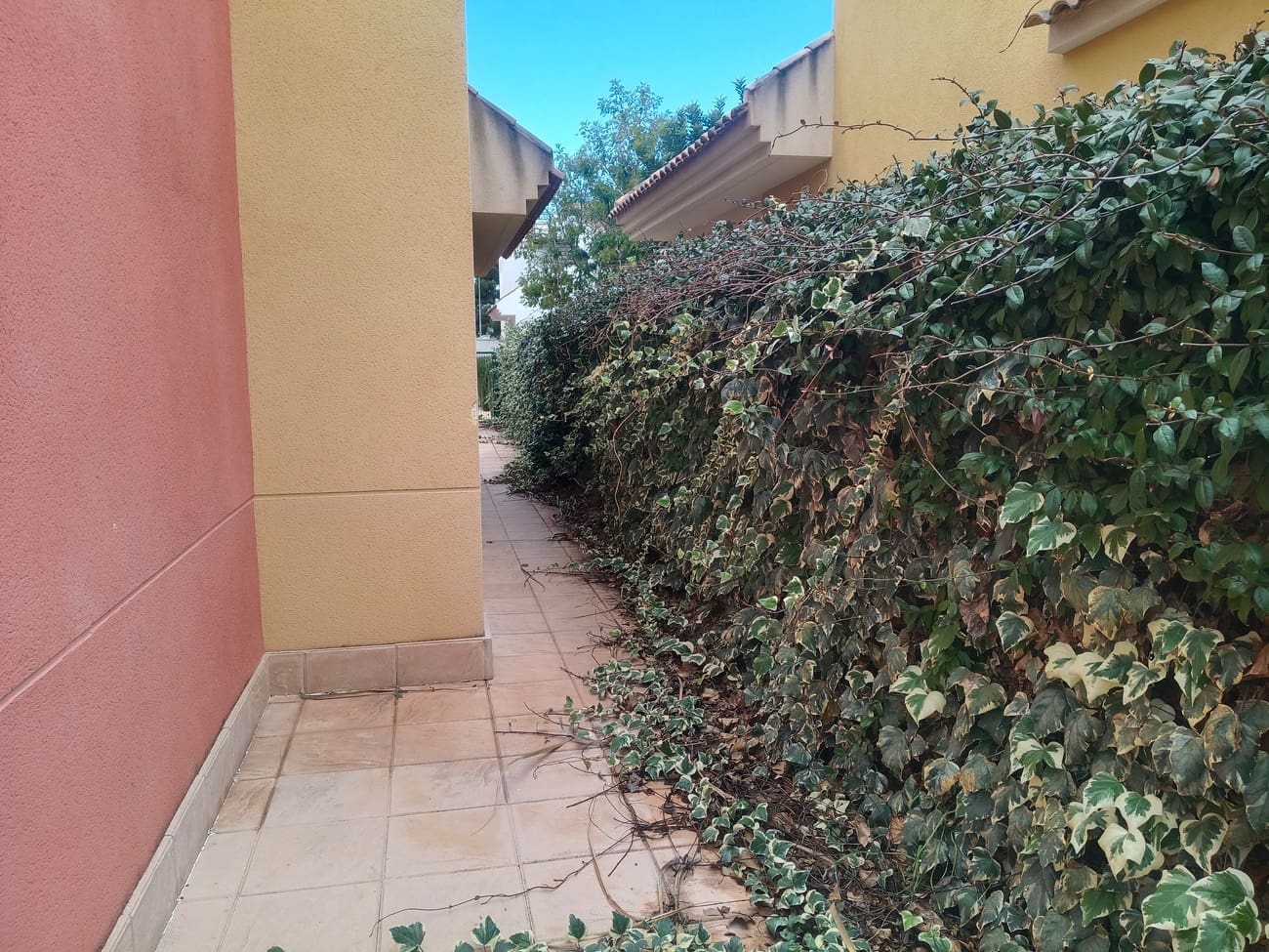 3 slaapkamer Huis te koop in La Tercia met zwembad - € 185.000 (Ref: 9985233)