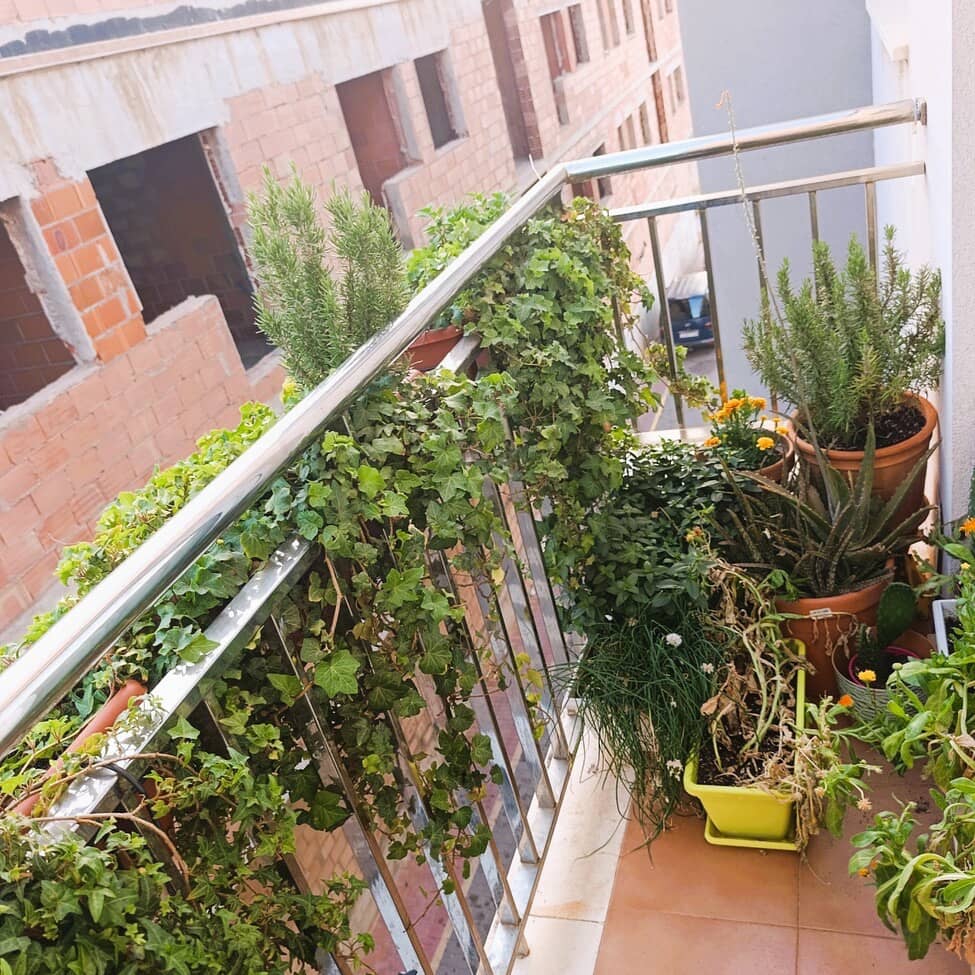 2 Zimmer Apartment zu verkaufen in La Union mit Garage - 115.000 € (Ref: 9985234)