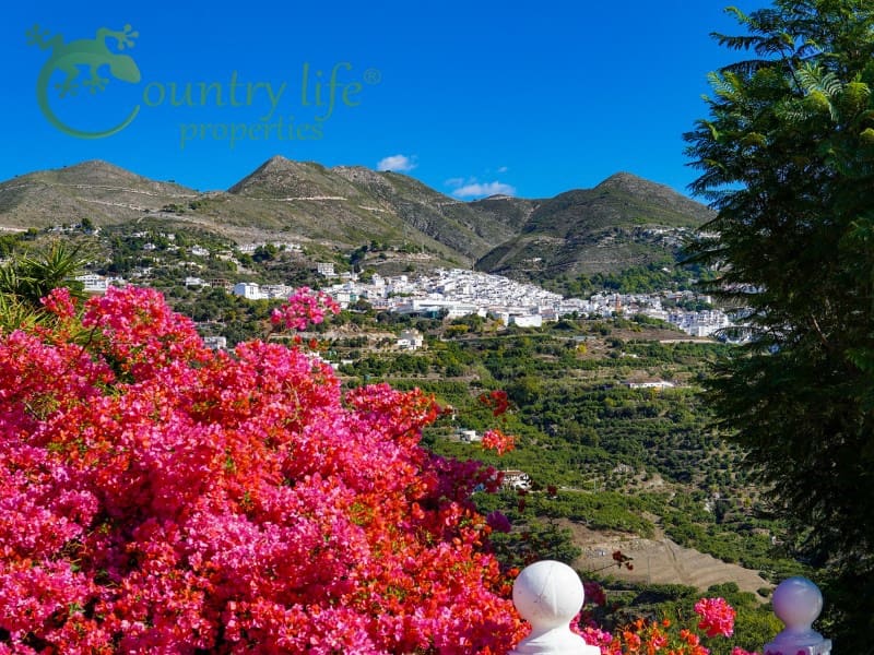 3 Zimmer Finca/Landgut zu verkaufen in Competa - 479.000 € (Ref: 10003624)
