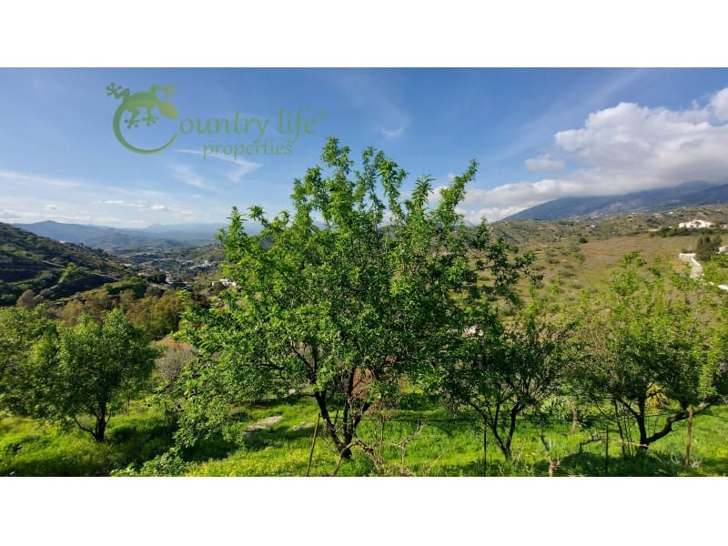 4 bedroom Finca/Country House for sale in Canillas de Aceituno - € 449,000 (Ref: 10037148)