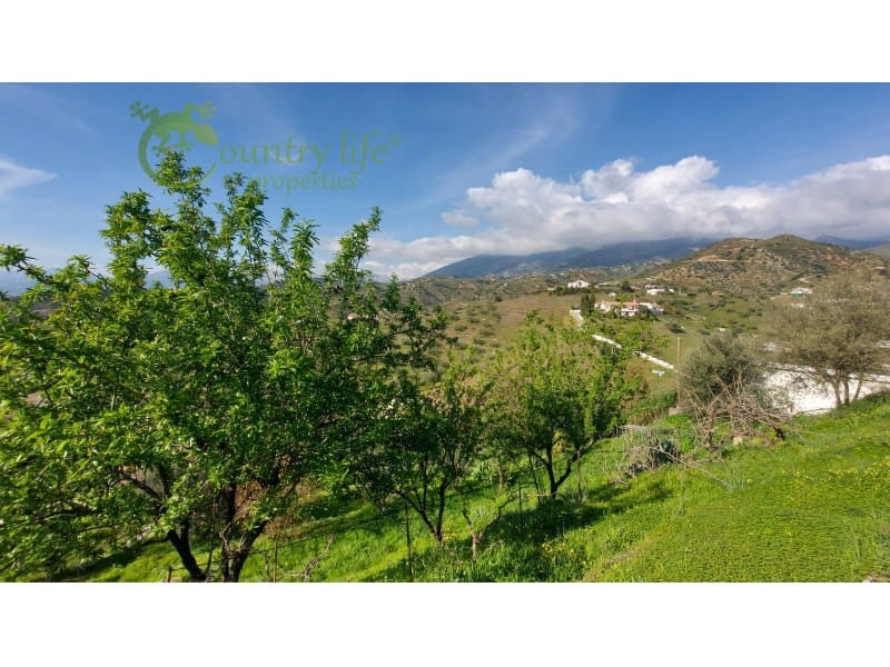 4 bedroom Finca/Country House for sale in Canillas de Aceituno - € 449,000 (Ref: 10037148)