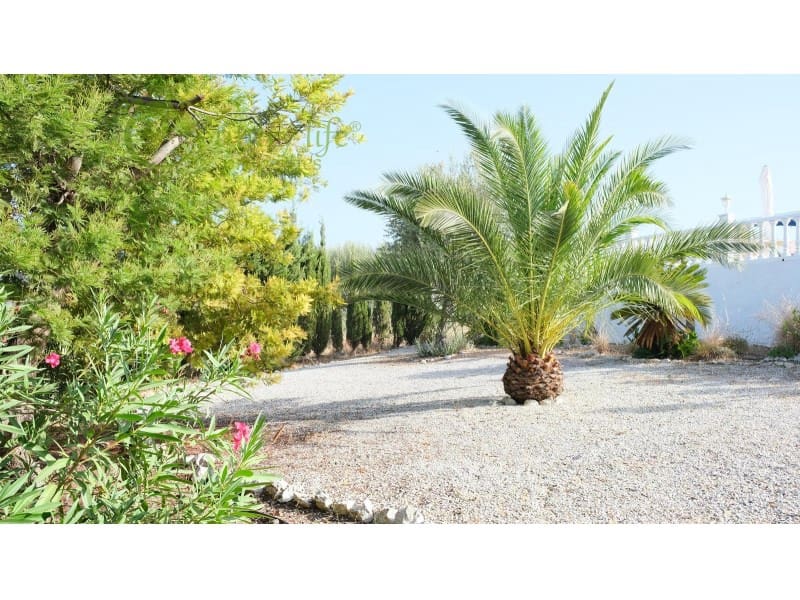 3 slaapkamer Villa te koop in Alcaucin - € 375.000 (Ref: 10061699)