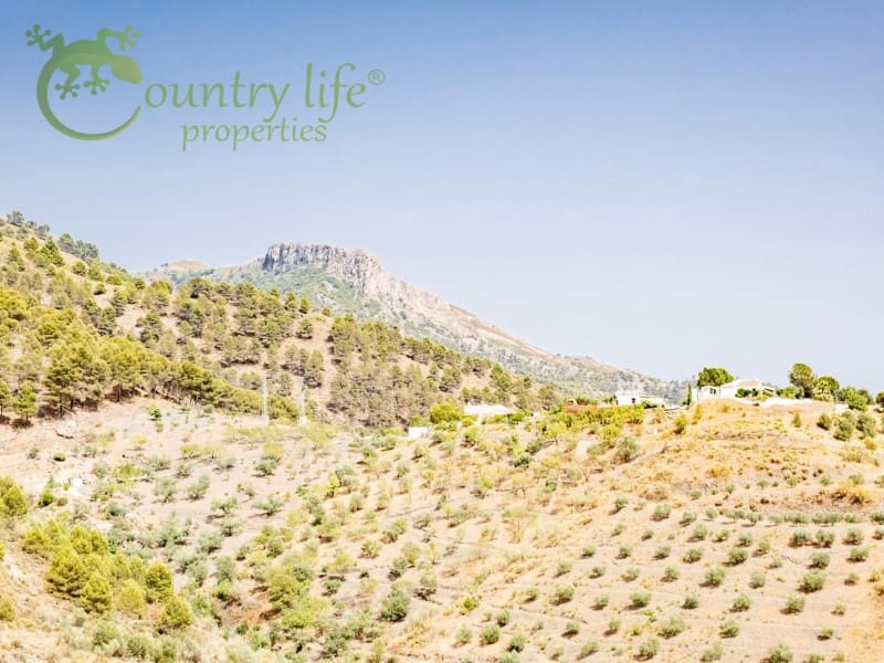 3 sypialnia Willa na sprzedaż w Alcaucin - 289 000 € (Ref: 6964038)