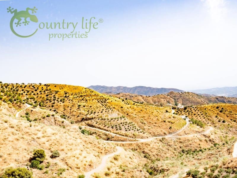 3 sypialnia Willa na sprzedaż w Alcaucin - 289 000 € (Ref: 6964038)