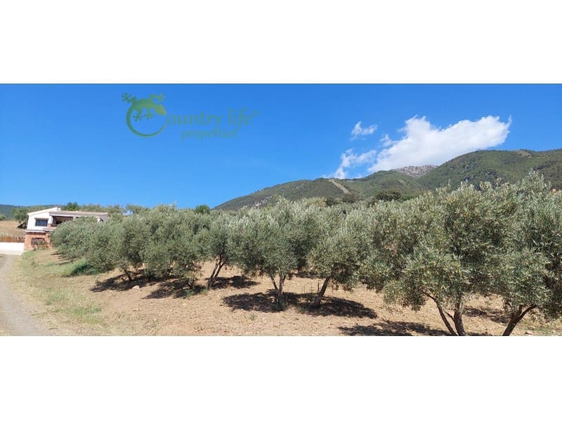 3 soveværelse Villa til salg i Alcaucin - € 395.000 (Ref: 7536728)