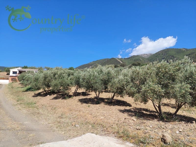 3 soveværelse Villa til salg i Alcaucin - € 395.000 (Ref: 7536728)