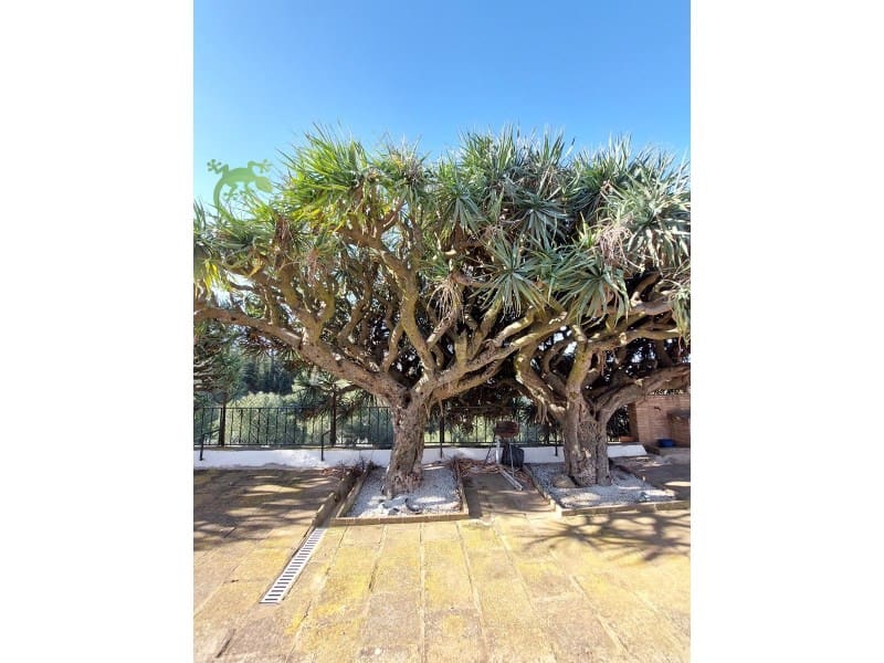 3 soveværelse Finca/Landehus til salg i Malaga by - € 890.000 (Ref: 8244264)