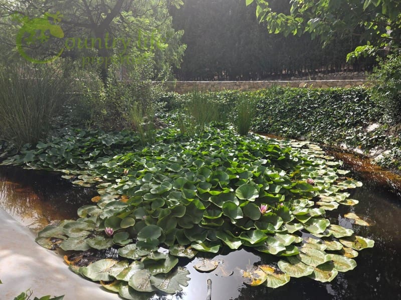 3 soverom Villa til salgs i Alcaucin - € 385 000 (Ref: 9166078)