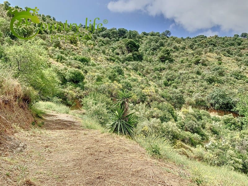 3 makuuhuone Huvila myytävänä paikassa Colmenar - 825 000 € (Ref: 9317713)