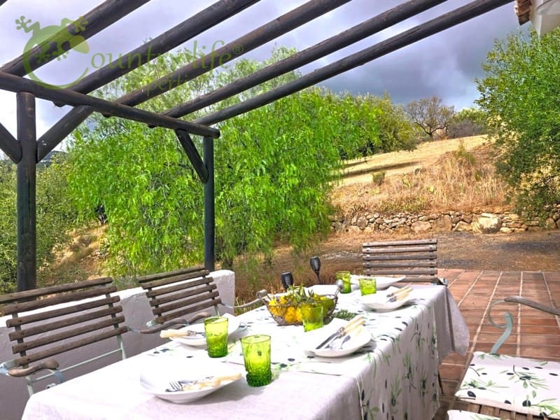 4 sypialnia Willa na sprzedaż w Alcaucin - 429 000 € (Ref: 9359782)