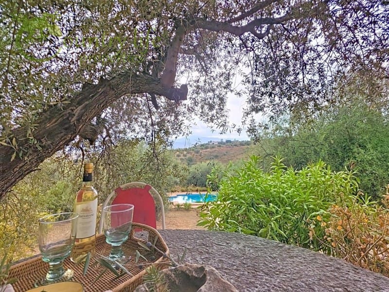 4 sypialnia Willa na sprzedaż w Alcaucin - 429 000 € (Ref: 9359782)