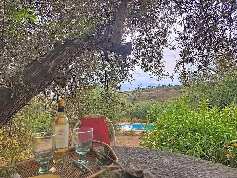 4 sypialnia Willa na sprzedaż w Alcaucin - 429 000 € (Ref: 9359782)