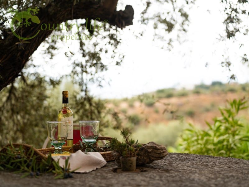 4 sypialnia Willa na sprzedaż w Alcaucin - 429 000 € (Ref: 9359782)