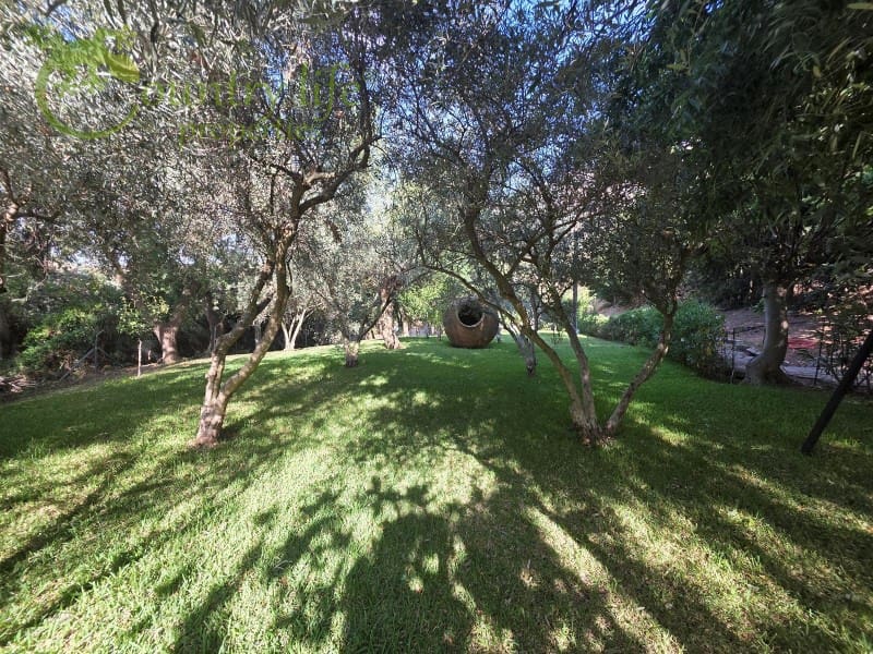 5 quarto Quinta/Casa Rural para venda em Colmenar - 795 000 € (Ref: 9372325)