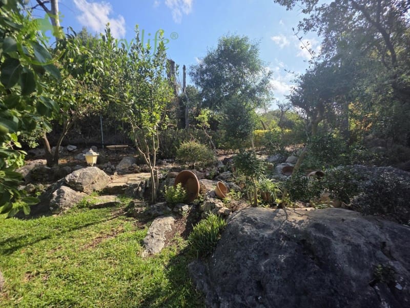 5 quarto Quinta/Casa Rural para venda em Colmenar - 795 000 € (Ref: 9372325)