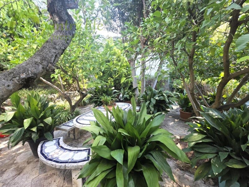 5 quarto Quinta/Casa Rural para venda em Colmenar - 795 000 € (Ref: 9372325)