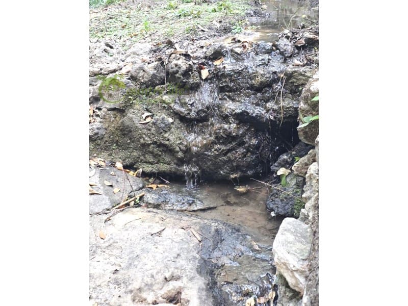 5 quarto Quinta/Casa Rural para venda em Colmenar - 795 000 € (Ref: 9372325)