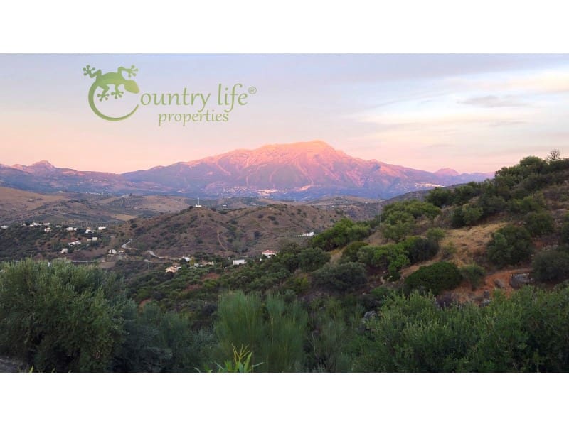 3 slaapkamer Villa te koop in Comares - € 395.000 (Ref: 9414326)