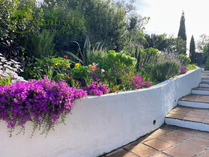 3 slaapkamer Villa te koop in Comares - € 395.000 (Ref: 9414326)