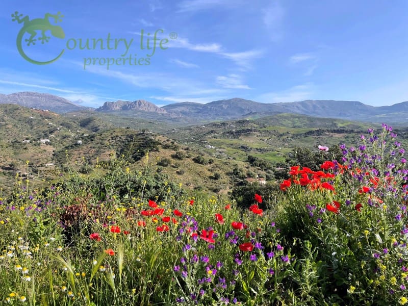 3 slaapkamer Villa te koop in Comares - € 395.000 (Ref: 9414326)