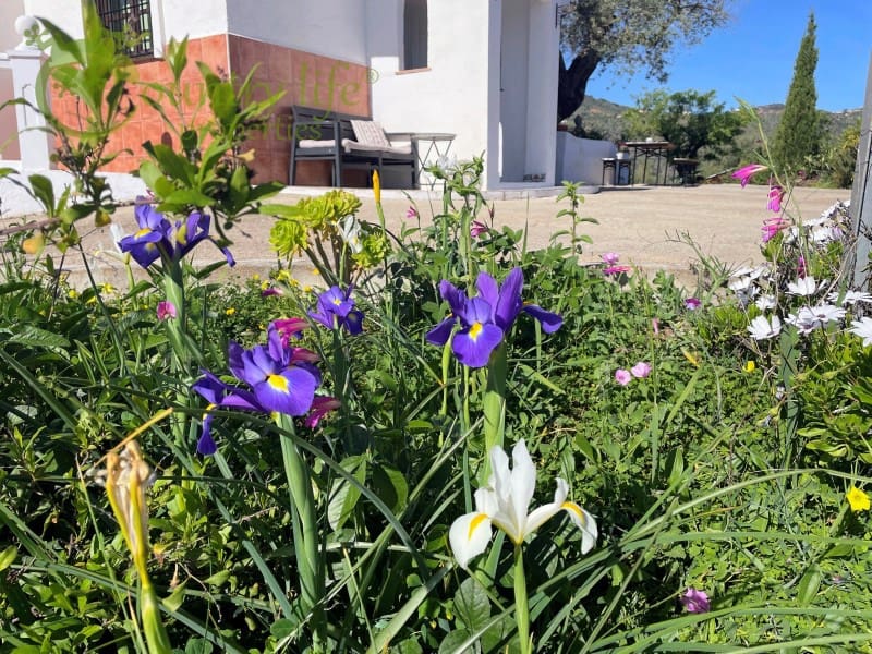 3 slaapkamer Villa te koop in Comares - € 395.000 (Ref: 9414326)