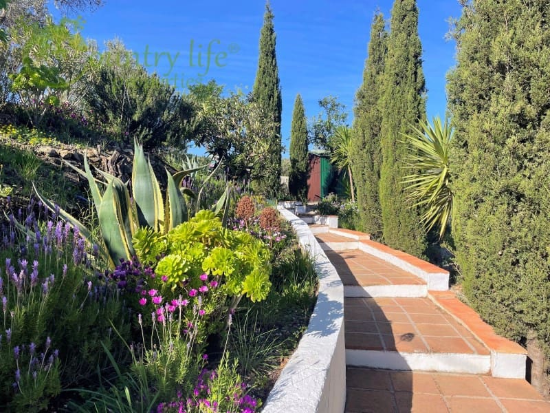 3 slaapkamer Villa te koop in Comares - € 395.000 (Ref: 9414326)