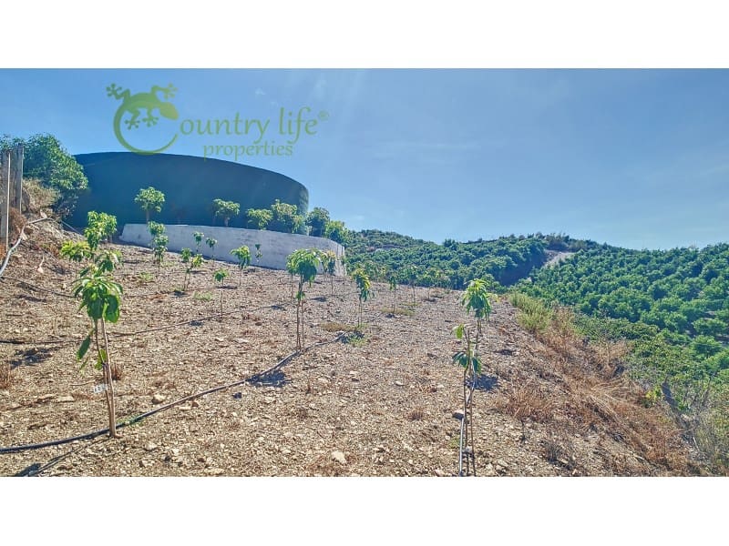 3 sovrum Finca/Hus på landet till salu i Velez-Malaga - 1 150 000 € (Ref: 9582962)